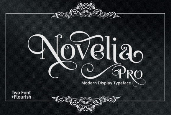 Novelia Pro: The Display Font That Brings Ideas to Life